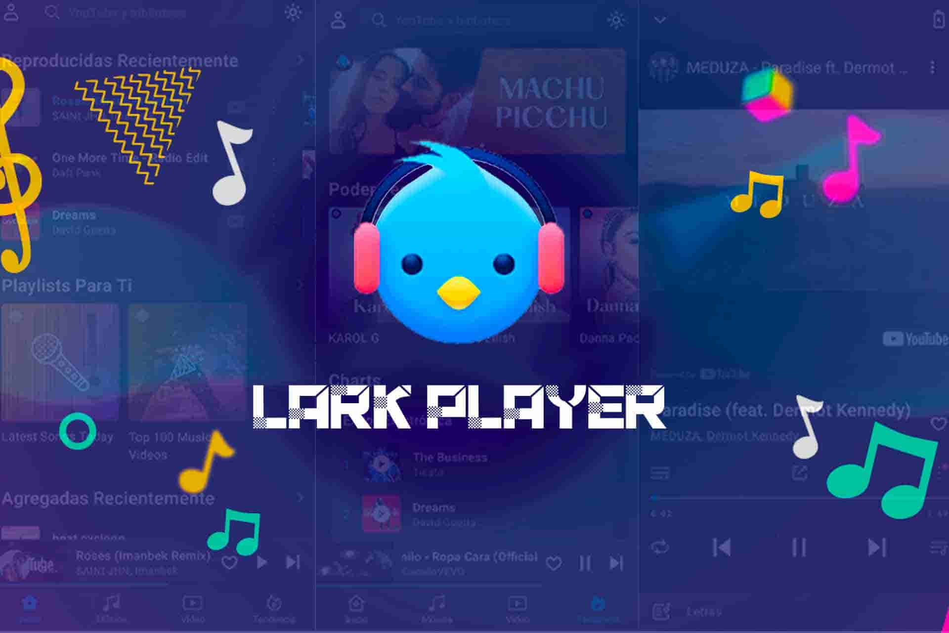 Lark-Player-APK